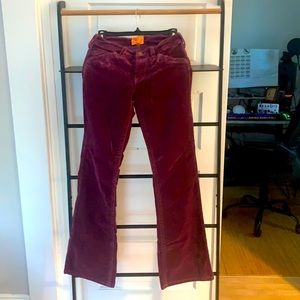 Purple velvet jeans